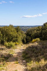 Obraz premium Chemin de randonnée du Bois de Lèque près du village des Matelles (Occitanie, France)