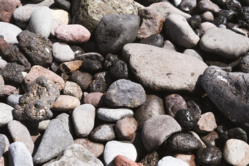 Wet and dry stones bathed by sunlight on the beach. Different shapes and sizes washed pebbles texture background