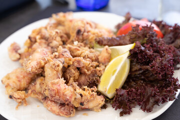 Baby squids on plate with lemon slices, lettuce and tomato. Traditional Spanish seafood tapa