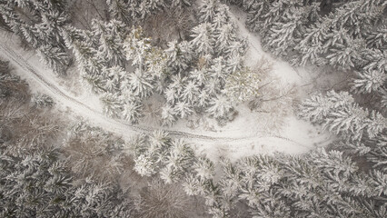 Footprints in the snow on the paths through the wintry Black Forest