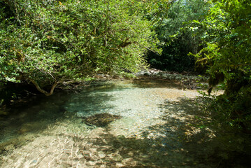 Nature