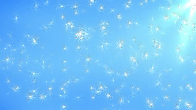 Futuristic dandelion seeds fly in wind against the night sky. Dandelion field on blue sky background. Nature background. love, movement or change direction. Concept of creative idea and progress.