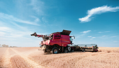 Combine harvester on grain field during harvest time in backlit situation