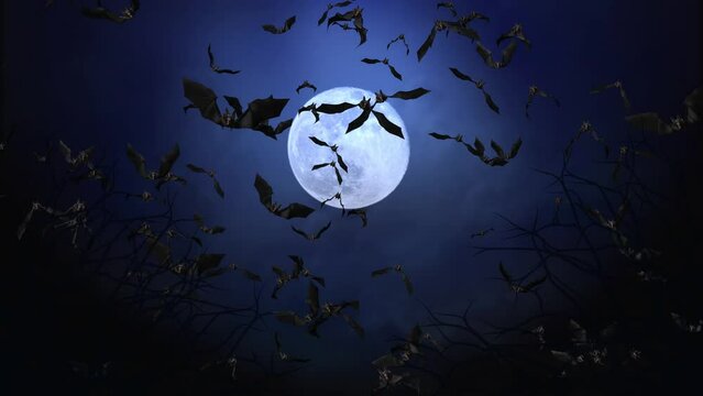 Halloween background animation with the concept of blue sky, moon, fog, flying bats. Scary night of halloween. Night of halloween blue sky background animation