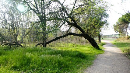 Obraz premium Sunday walk