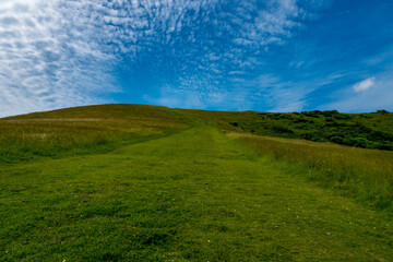 Buntes Feld in schöner Landschaft