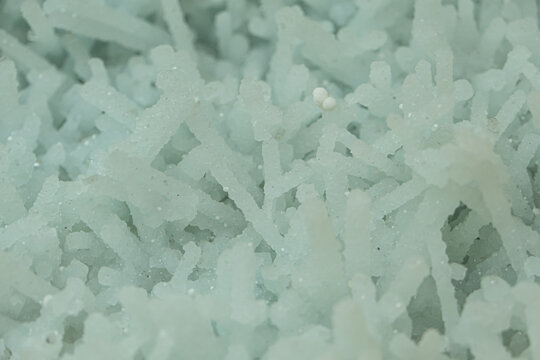 The mineral prehnite close-up. Texture, background. Selective focus. Abstract background