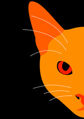 Illustration of the face of an orange cat on black background.