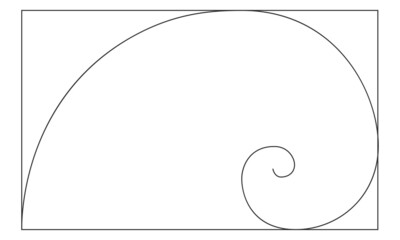 Golden ratio logarithmic spiral in rectangle frame. Harmony nature ideal proportions template. Nautilus shell shape. Leonardo Fibonacci sequence sign. Symmetry symbol. Vector outline illustration