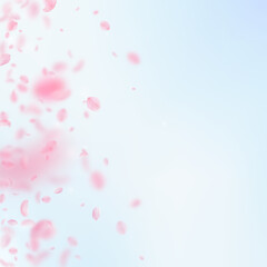 Sakura petals falling down. Romantic pink flowers gradient. Flying petals on blue sky square background. Love, romance concept. Symmetrical wedding invitation.