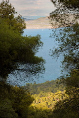 view of the sea, the island and the yacht through the foliage of trees
