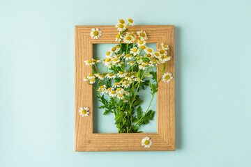 White chamomile flowers bouquet in wooden photo frame on pastel blue background. Wedding background