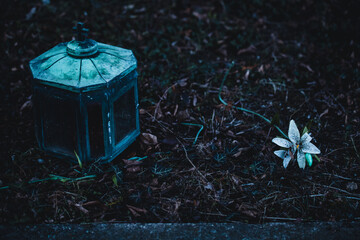 Laterne und Blume auf einem Grab