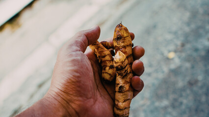 autumn leaves on the ground