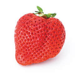 イチゴ　ストロベリー