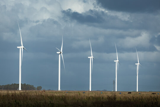 wind turbines farm