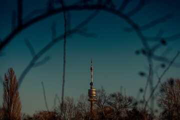 Obraz premium Blick auf den Donauturm von Ästen umrandet