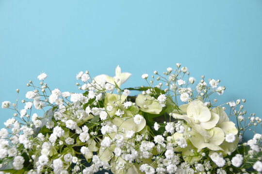 かすみ草 Images Browse 5 004 Stock Photos Vectors And Video Adobe Stock
