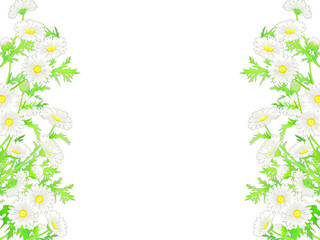 手描きの、マーガレットのイラストフレーム