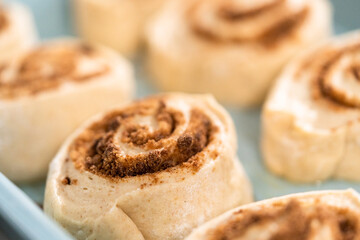 Cinnamon rolls