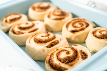 Cinnamon rolls