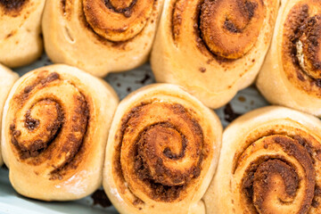 Fototapeta premium Cinnamon rolls