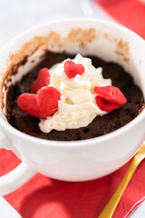 Chocolate mug cake