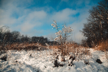 Winterlandschaft