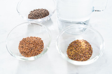 Growing sprouts in a jar