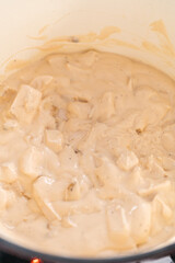 Chicken alfredo pasta