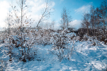 Winterszenerie