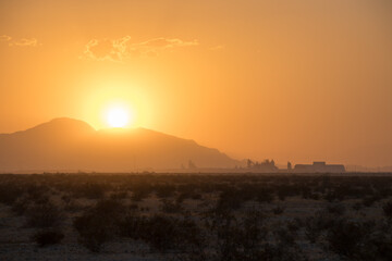 Sonoran Sunsets