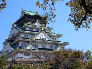 Fototapeta premium 大阪城