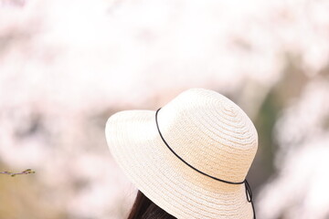 麦わら帽子と桜