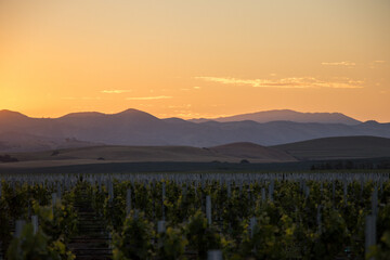 Central California Sunsets