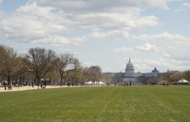 Landscape View of Capitol Building, National Mall, People, Lawn