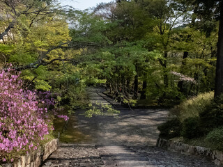 春の京都山科　昆沙門堂を散策