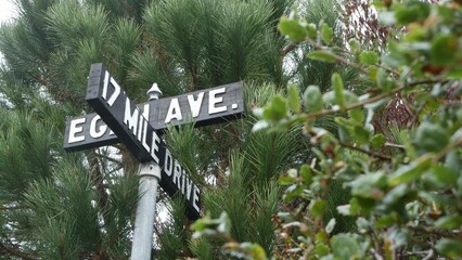 Scenic 17-mile drive wooden road sign, Monterey peninsula, Big Sur, California, USA. Coastal...