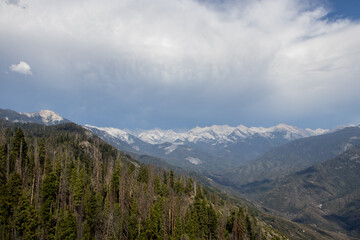 Obraz premium Sierra Nevada Views in Sequoia