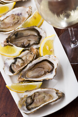 Delicious fresh oysters in shell served with lemon