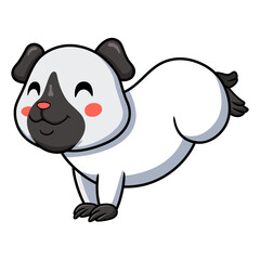 Cute little siamese guinea cartoon jumping