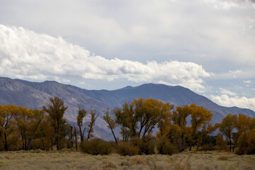 Eastern Sierra, California