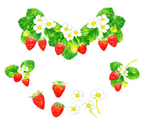 イチゴの果実・花・葉っぱの水彩イラスト素材集　フルーツの手描きイラストセット
