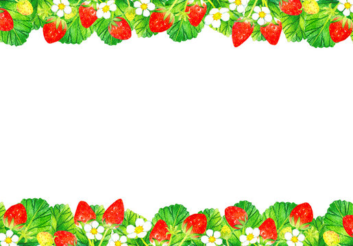 イチゴの果実 花 葉っぱの水彩イラスト背景素材 フルーツの手描きイラスト Stock Illustration Adobe Stock