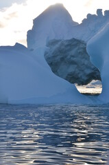 Fototapeta na wymiar Antarctique
