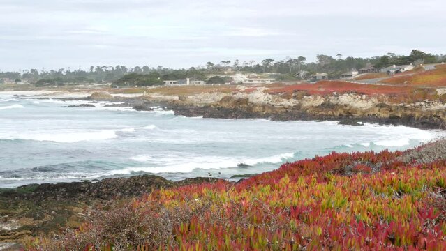 17-mile drive, Monterey, California USA. Suburban real estate, houses by ocean, waterfront villas, beachfront cottages. Pacific coast near Pebble beach, Carmel by the Sea. Seamless looped cinemagraph.