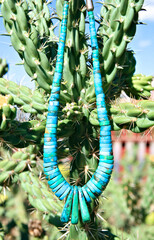 turquoise neck hung from catus