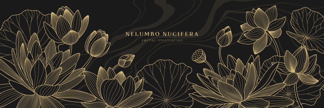 Gold lotus vector background with fluid marble. Luxury design template with line lily and leaves. Nelumbo nucifera flower for banners, invitations, cover and packaging design.