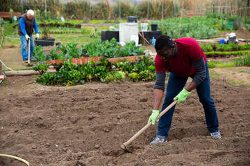 African-american man using hoe treats the garden beds. High quality photo