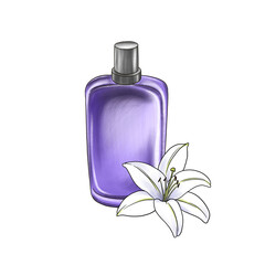 drawing glass perfume botte and white lily flower, hand drawn illustration